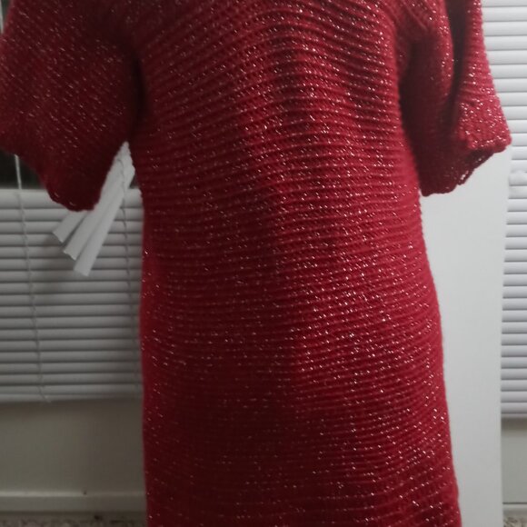 ADULT SKIRT SUIT (LGE) - Picture 3 of 4